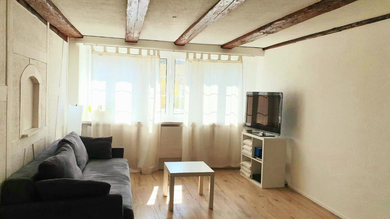 Cozy Apartment Close To Zurich Airport And City Oberglatt Eksteriør bilde