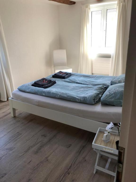 Cozy Apartment Close To Zurich Airport And City Oberglatt Eksteriør bilde