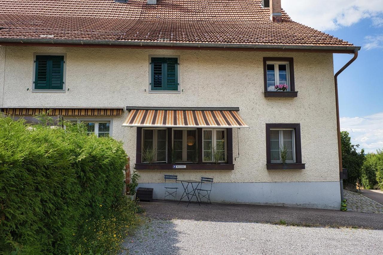 Cozy Apartment Close To Zurich Airport And City Oberglatt Eksteriør bilde